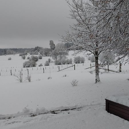 Вилла Abri De Jardin Вьельсальм Экстерьер фото