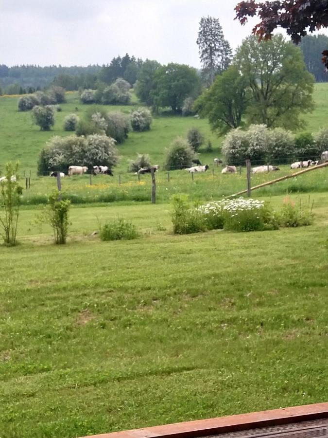 Вилла Abri De Jardin Вьельсальм Экстерьер фото